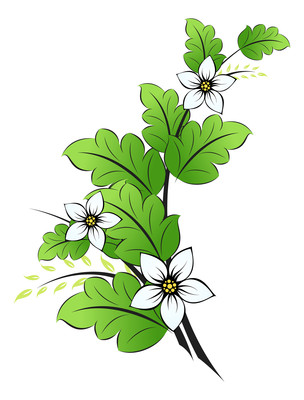 小清新花朵元素 小清新花朵元素