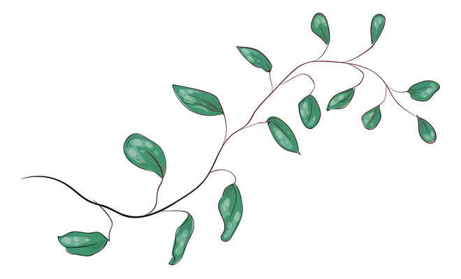 绿色植物叶子元素 绿色植物叶子元素