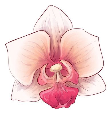 ���ŵĻ���Ԫ��