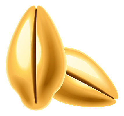 ��ɫ���� PNG