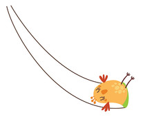ͨСǧ