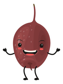 ��ͨ�������