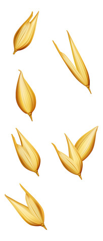 ͨ