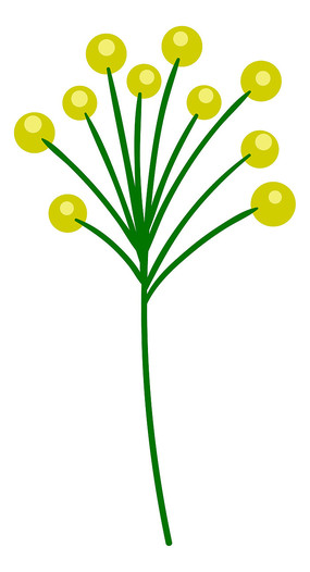 ͨһɫʵ
