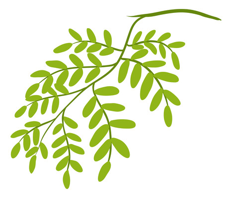 漫画风小树叶元素 漫画风小树叶元素