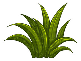 �������Ӳ�Ԫ��