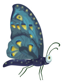 ��������ɫ����Ԫ��