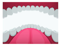 �ֻ�����ģ���ڲ�չʾͼ