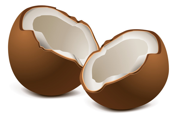 新鲜的水果椰果元素 新鲜的水果椰果元素