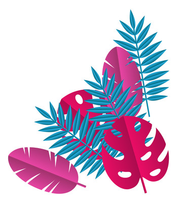 枝叶装饰 枝叶装饰