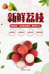 ��֦��ժ����