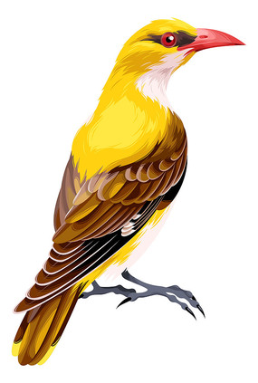 一只黄莺 一只黄莺