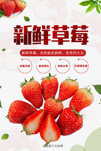 ��ݮˮ����������