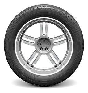 ��ɫ����̥Ԫ��