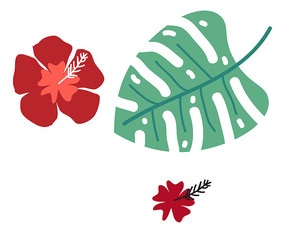 ����Ԫ��