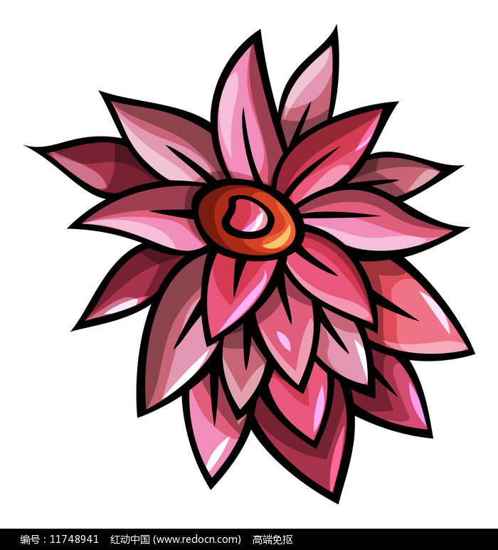 ��ͨ��ɫֲ��Ԫ��