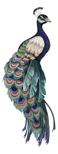 ȸ