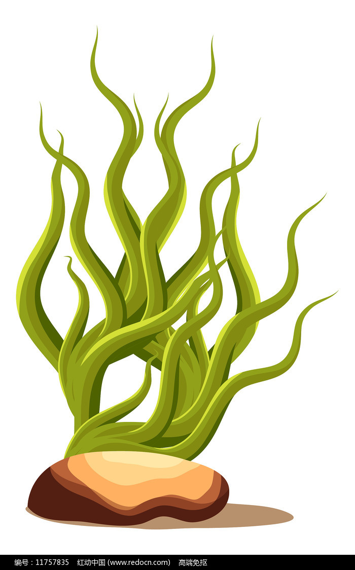 ��ͨ������ɫ��ֲ��