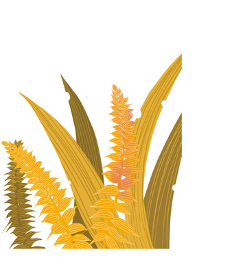 ��ͨ�ֻ�����������ݴ�