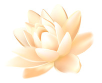 ɫʢŵ˯