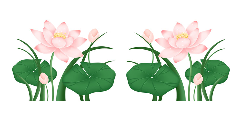 手绘卡通植物荷叶荷花免抠 PNG