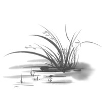 ˮīŷ