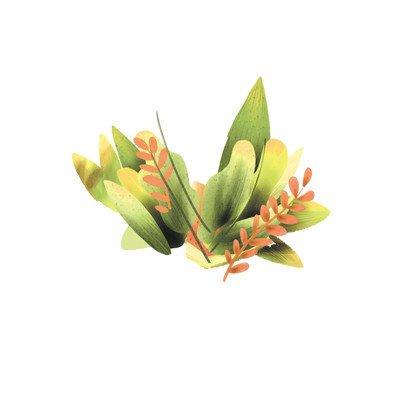一簇绿植手绘 PNG