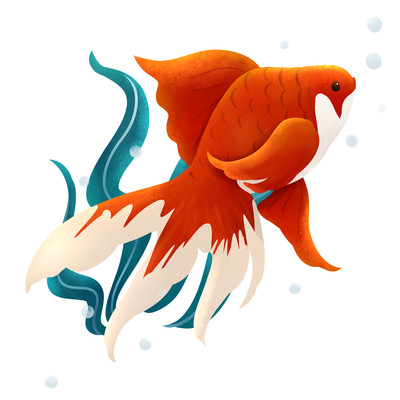 ԭ������ PSD