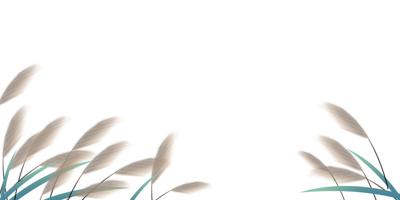 国风芦苇手绘 PNG