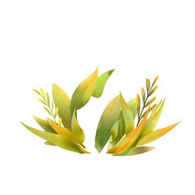 绿色植物手绘插画元素 绿色植物手绘插画元素