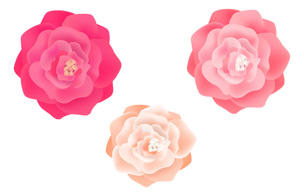 三朵绽开的花朵元素 PNG