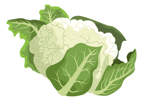 一个新鲜的花菜元素 PNG