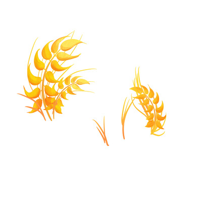 金色丰收稻谷手绘插画元素png PNG