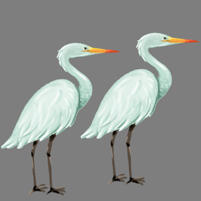 �ֻ濨ͨվ���İ������png