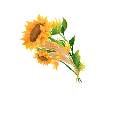向日葵芦苇手绘插画元素 PNG
