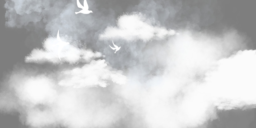 白色云雾飞鸟手绘插画元素png PNG
