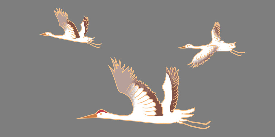 ��ͨ�ֻ����ĺ����png