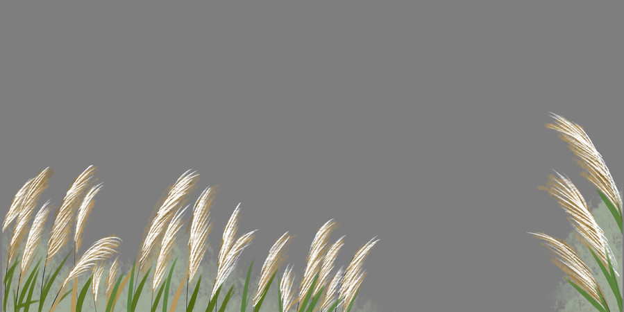 秋冬芦苇元素 PNG