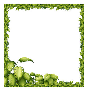 ��ɫֲ��װ�ο�