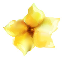 һӻ