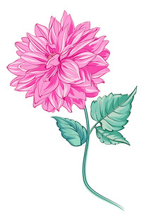 ŵʻ