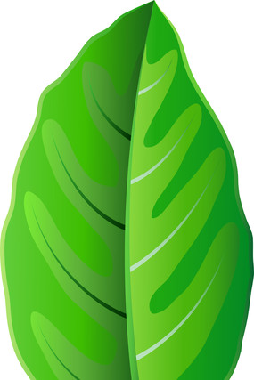 ��ͨ��ɫ��һƬҶ�� PNG