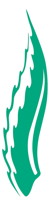 ̲