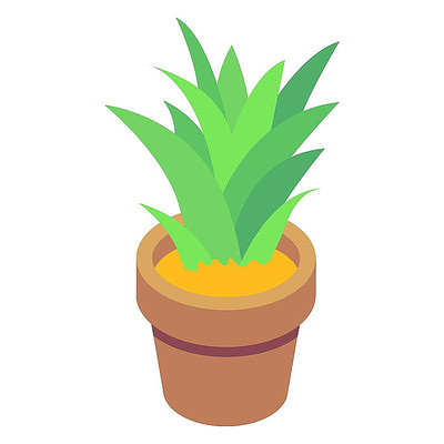 2.5D植物盆栽立体扁平卡通元素 2.5D植物盆栽立体扁平卡通元素
