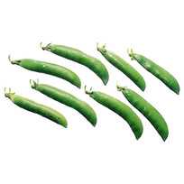 Ըͼ