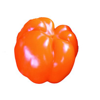 ӵ