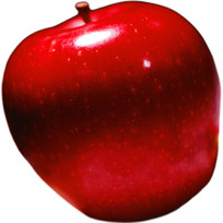 ƻ