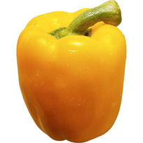 ɫ