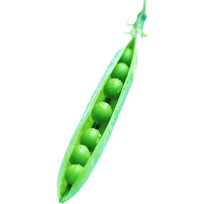 ڵĶ