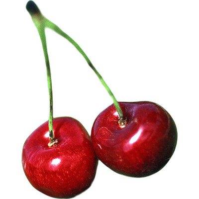 两个樱桃 两个樱桃